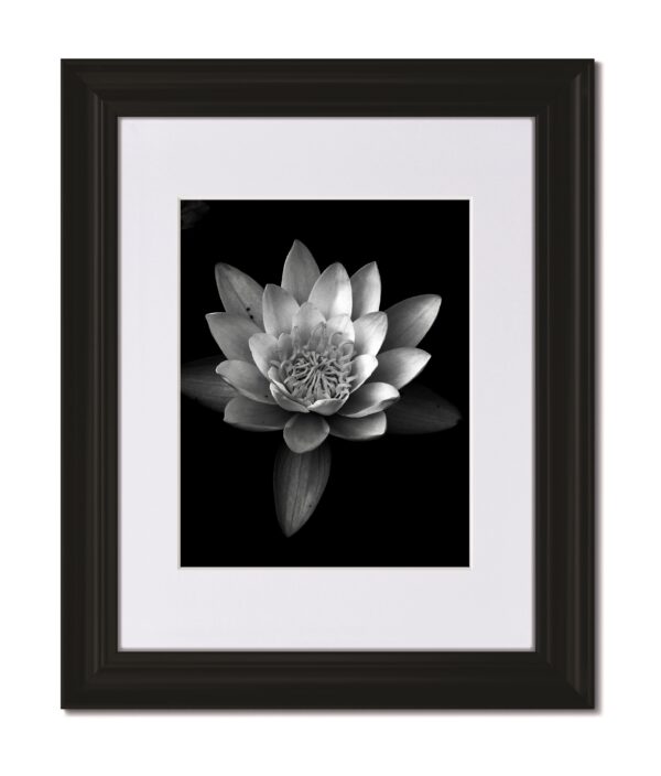 Curved Black Frame with White Mat