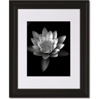Curved Black Frame with White Mat