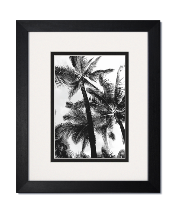 New Gallery Black Wood Frame with White/Black Mat