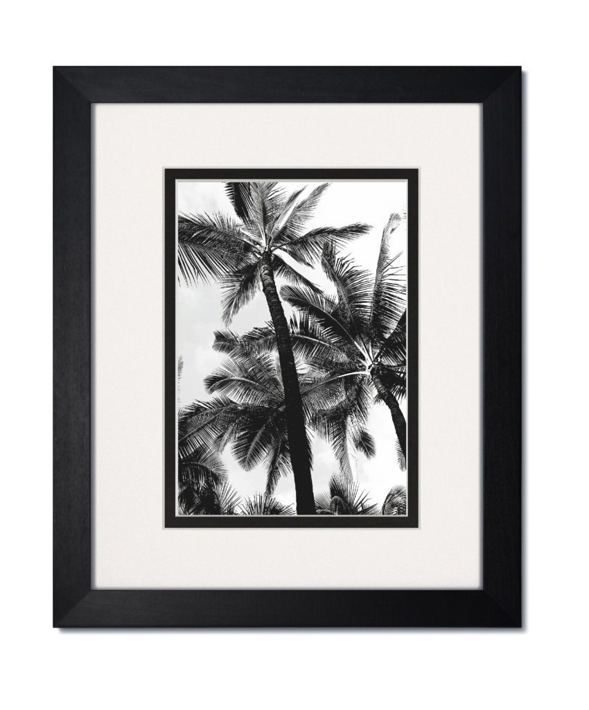 new-gallery-black-wood-frame-with-white-black-mat