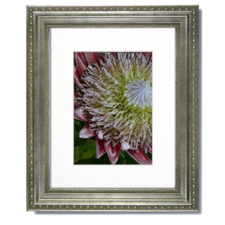 Heritage Ornate Silver Frame with White Mat